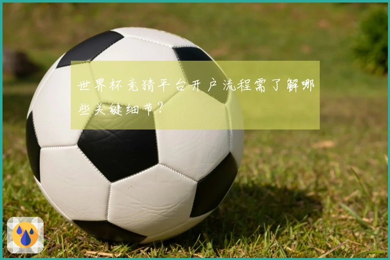 世界杯竞猜平台开户流程需了解哪些关键细节？
